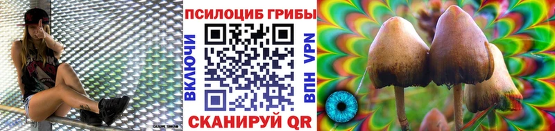 Псилоцибиновые грибы ЛСД  Стародуб 